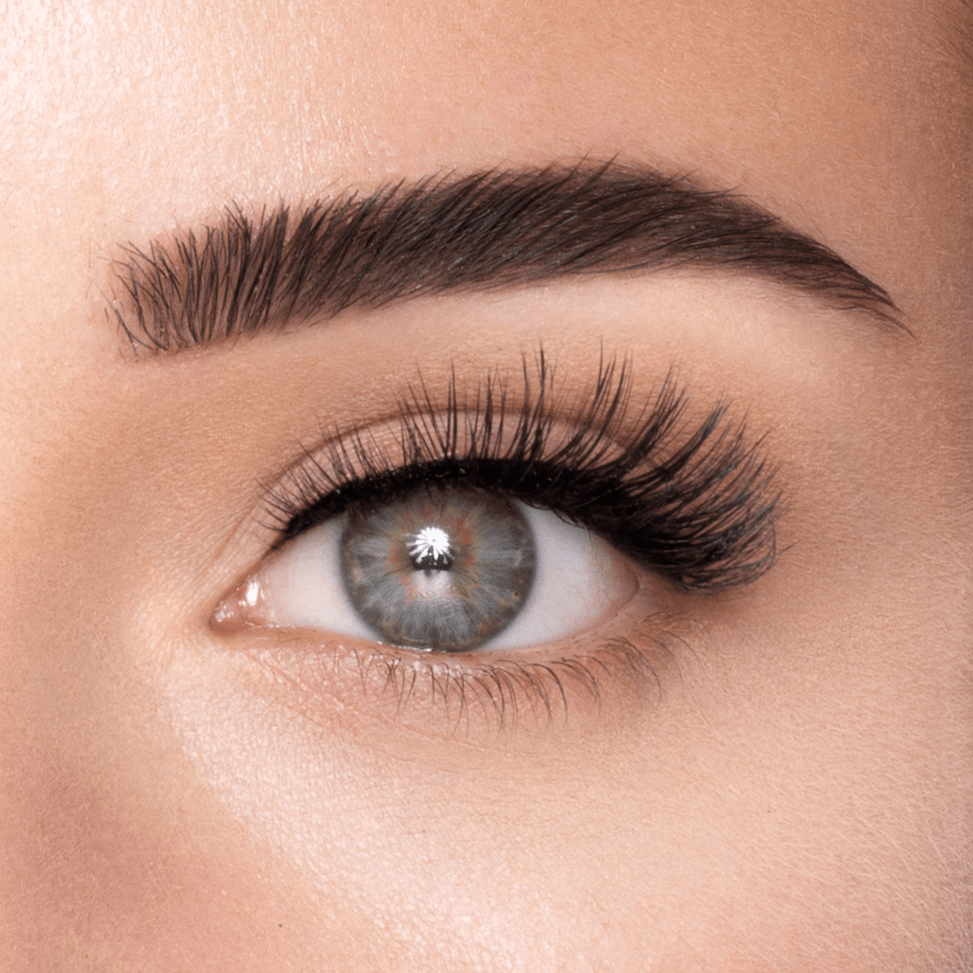 
            
              WIFEY LASH - MAYSON Cosmetics
            
          
